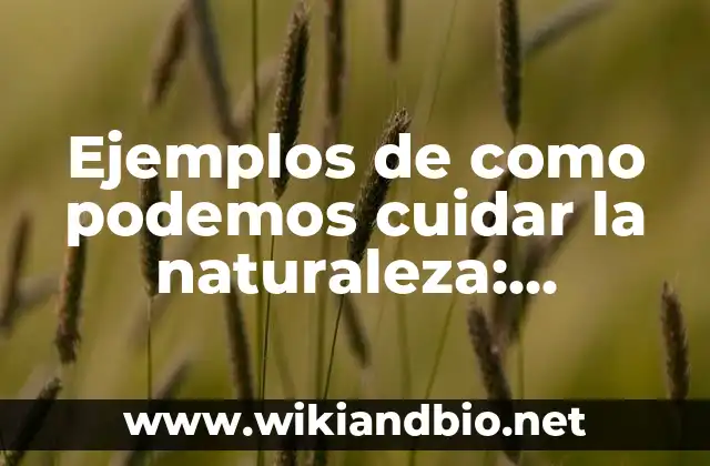 Ejemplos de como podemos cuidar la naturaleza: Definición según Autor, qué