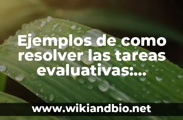 Ejemplos de como resolver las tareas evaluativas