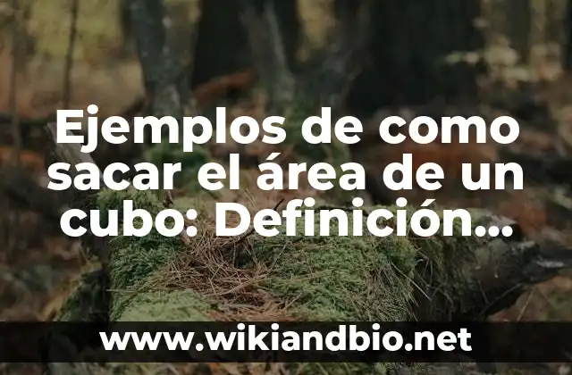 Ejemplos de como sacar el área de un cubo: Definición según Autor, ¿qué es?