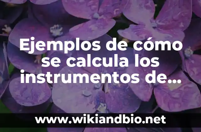 Ejemplos de cómo se calcula los instrumentos de vanguardia: Definición