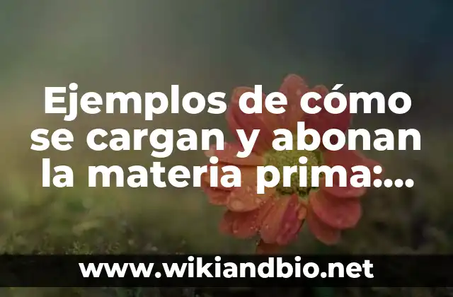 Ejemplos de cómo se cargan y abonan la materia prima