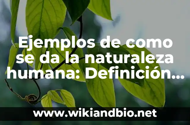 Ejemplos de como se da la naturaleza humana: Definición según Autor, qué