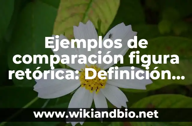 Ejemplos de comparación figura retórica