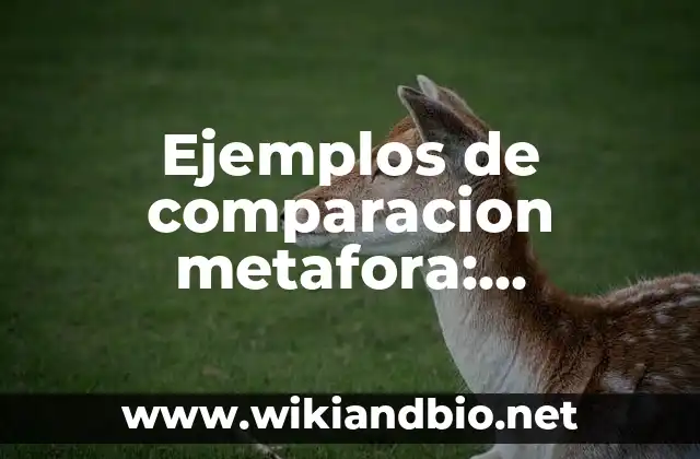 Ejemplos de comparacion metafora: Definición según Autor, qué es, Concepto y Significado