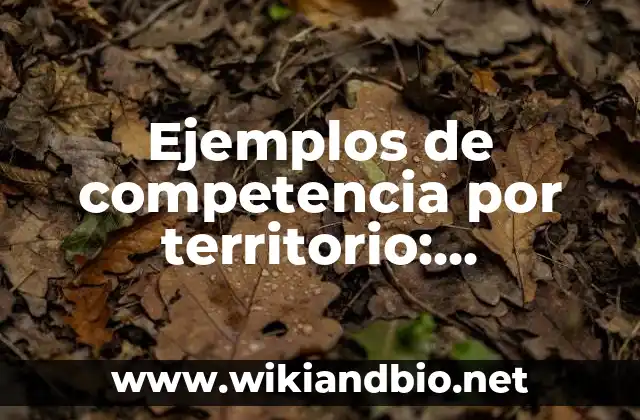 Ejemplos de competencia por territorio: Definición según Autor, ¿qué es?