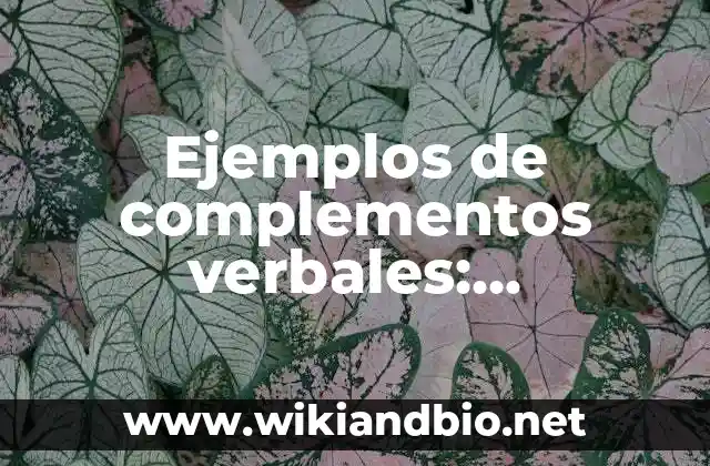Ejemplos de complementos verbales: Definición según Autor, qué es, Concepto