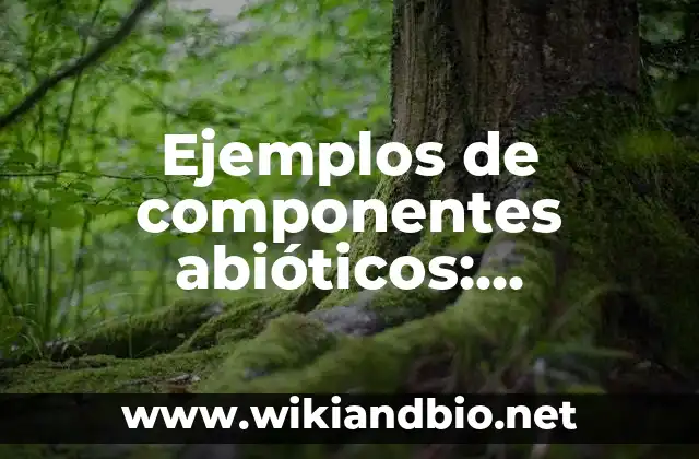 Ejemplos de componentes abióticos: Definición según Autor, qué es, Concepto
