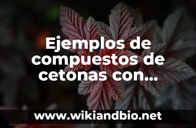 Diferencia entre compuestos de cetonas con nombres y otras sustancias químicas