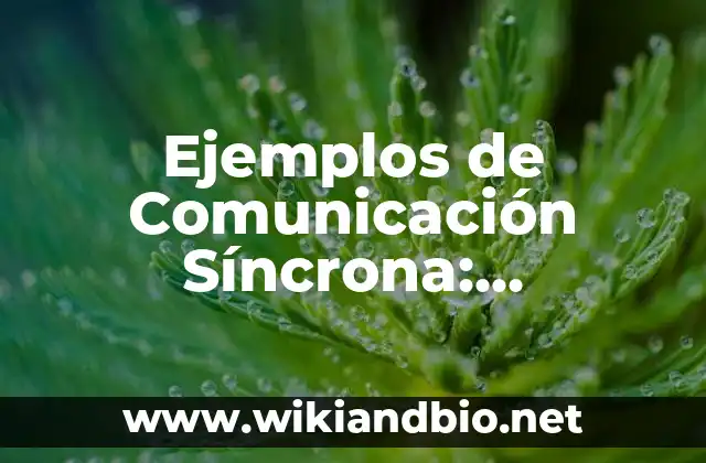 Ejemplos de Comunicación Síncrona: Definición según Autor, qué es, Concepto