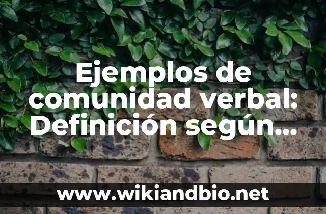 Ejemplos de comunidad verbal