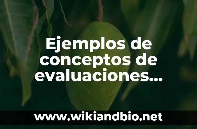 Ejemplos de conceptos de evaluaciones psicologicas laborales: Definición