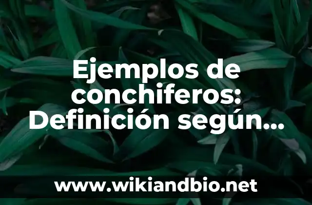 Ejemplos de conchiferos: Definición según Autor, qué es, Concepto y Significado
