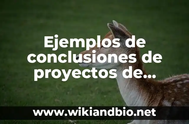 Ejemplos de conclusiones de proyectos de inversión