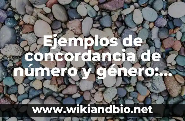 Ejemplos de concordancia de número y género: Definición según Autor, qué