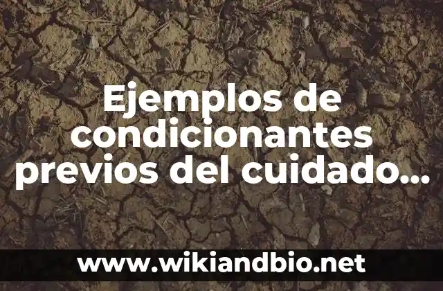 Ejemplos de condicionantes previos del cuidado del agua: Definición según