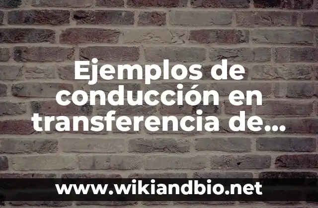 Ejemplos de conducción en transferencia de calor: Definición según Autor