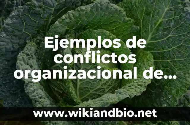 Ejemplos de conflictos organizacional de enfermería: Definición según
