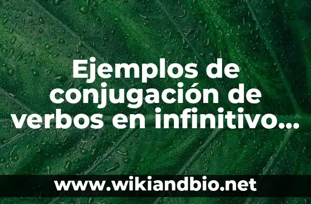 Ejemplos de conjugación de verbos en infinitivo terminados en zar