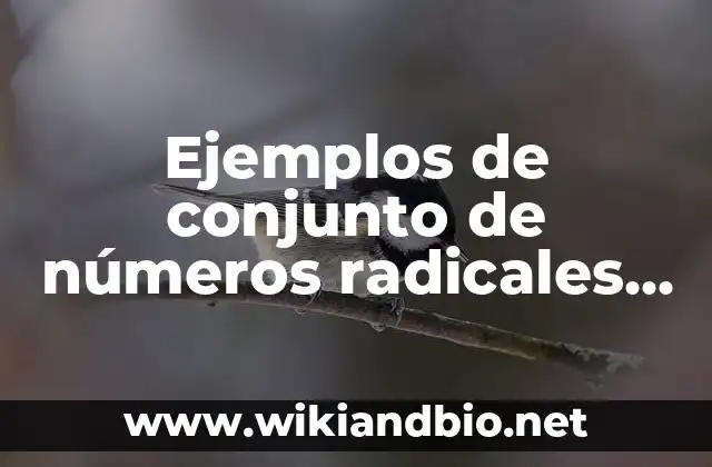 Ejemplos de conjunto de números radicales quebrados: Definición según Autor, qué es, Concepto y Significado