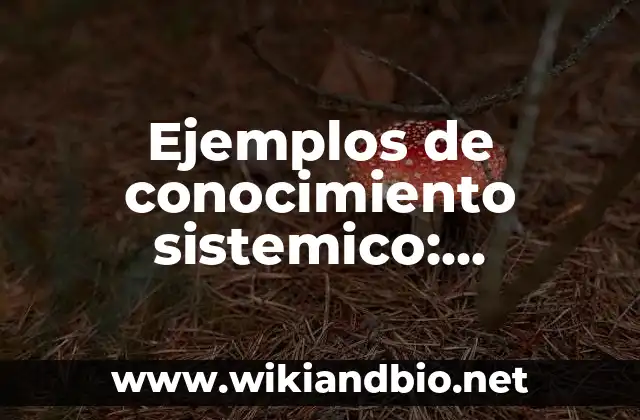 Ejemplos de conocimiento sistemico