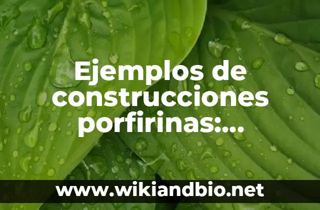 Ejemplos de construcciones porfirinas: Definición según Autor, ¿qué es?