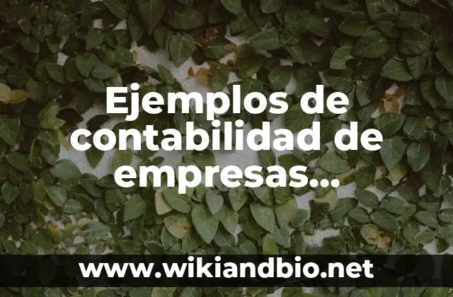Ejemplos de contabilidad de empresas extractivas: Definición según Autor
