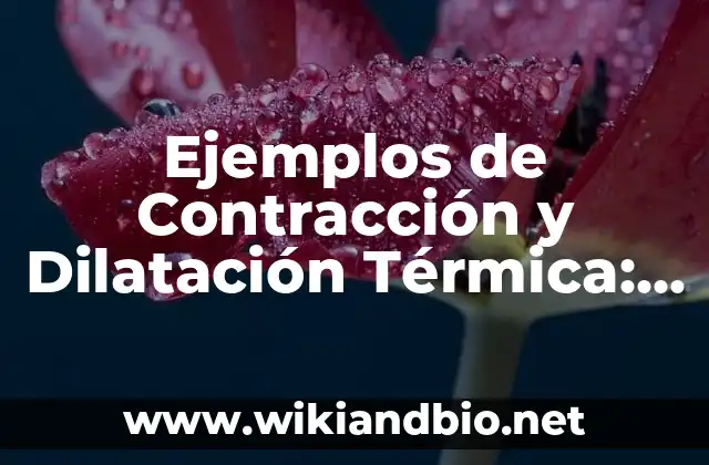 Ejemplos de Contracción y Dilatación Térmica: Definición según Autor, qué