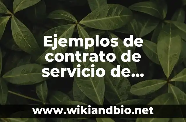Ejemplos de contrato de servicio de catering: Definición según Autor, qué