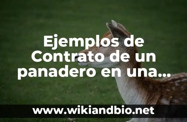 Ejemplos de contratos de panaderos en panaderías