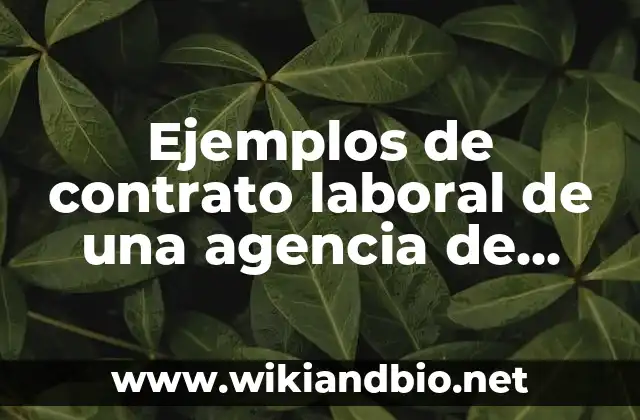 Ejemplos de contrato laboral de una agencia de viajes