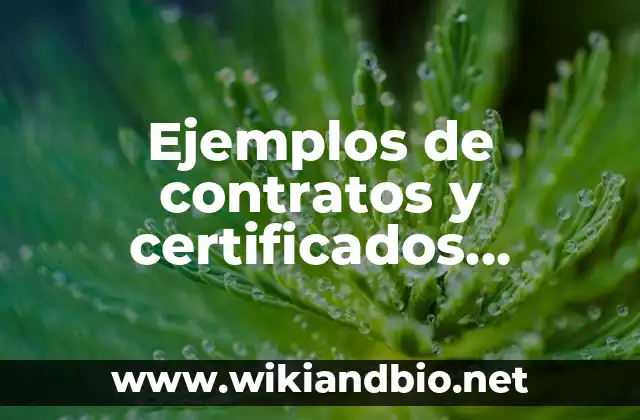 Ejemplos de contratos y certificados celebrados por la empresa: Definición