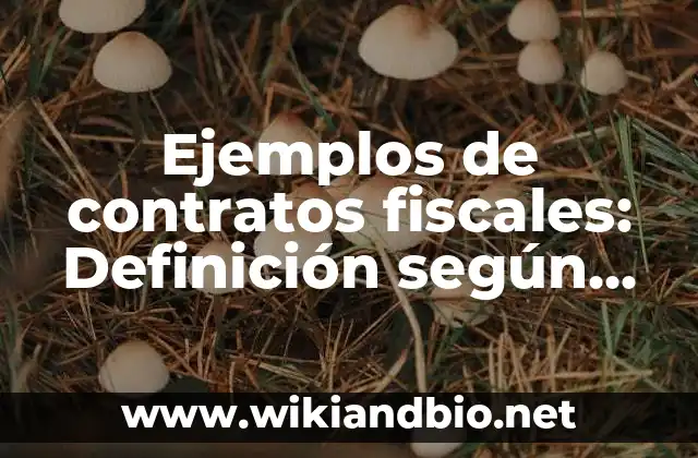 Ejemplos de contratos fiscales: Definición según Autor, qué es, Concepto y Significado