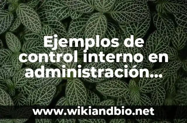 Ejemplos de control interno en administración pública: Definición según
