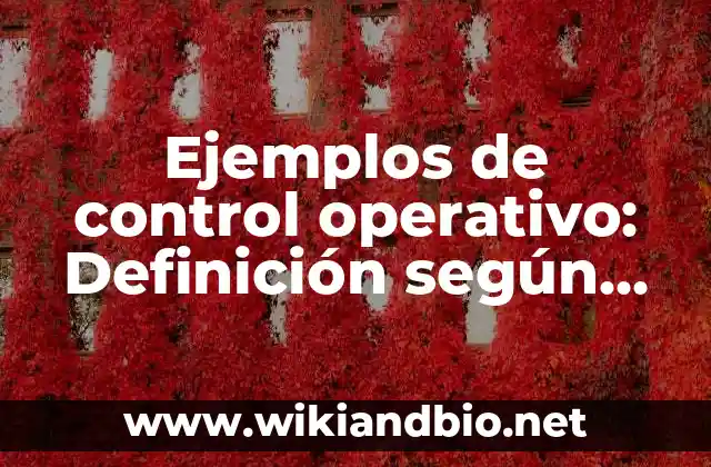 Ejemplos de control operativo: Definición según Autor, qué es, Concepto