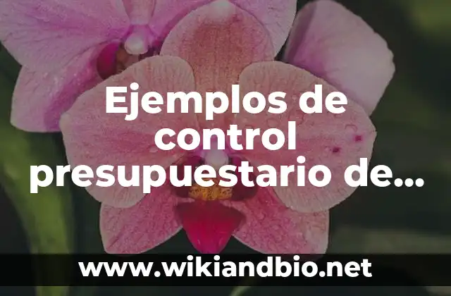 Ejemplos de control presupuestario de una empresa: Definición según Autor, qué es, Concepto y Significado