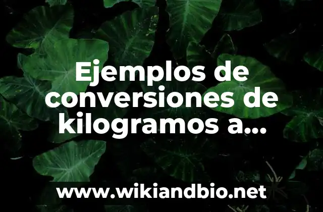 Ejemplos de conversiones de kilogramos a gramos: Definición según Autor