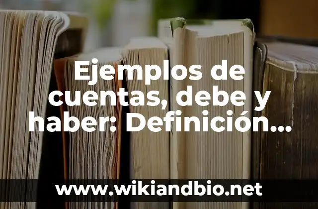 Ejemplos de cuentas, debe y haber: Definición según Autor, qué es, Concepto