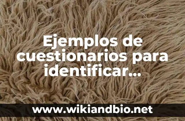 Ejemplos de cuestionarios para identificar infraestructura de la empresa