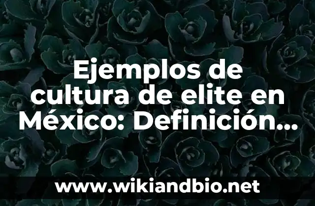 Ejemplos de cultura de elite en México