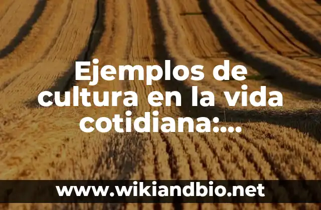 Ejemplos de cultura en la vida cotidiana