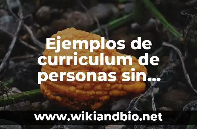 Ejemplos de curriculum de personas sin experiencia laboral: Definición