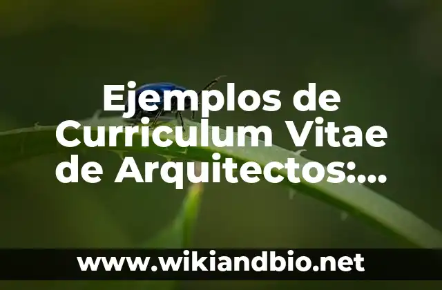 Ejemplos de Curriculum Vitae de Arquitectos: Definición según Autor, qué