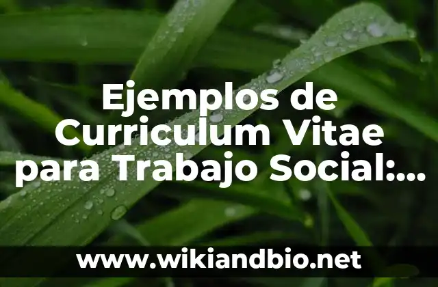 Ejemplos de Curriculum Vitae para Trabajo Social