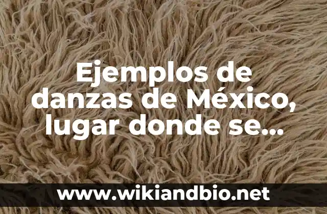Ejemplos de danzas de México, lugar donde se bailan: Definición según