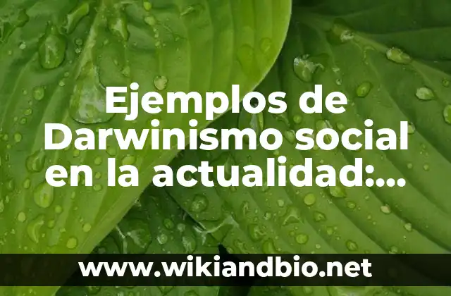 Ejemplos de Darwinismo social en la actualidad: Definición según Autor, qué