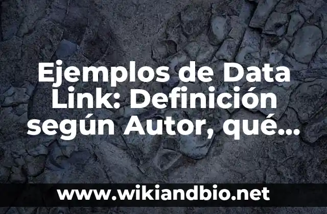 Ejemplos de Data Link: Definición según Autor, qué es, Concepto