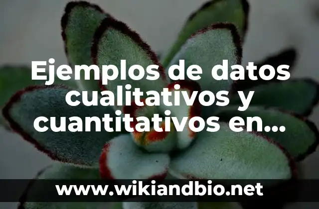 Ejemplos de datos cualitativos y cuantitativos en estadística: Definición