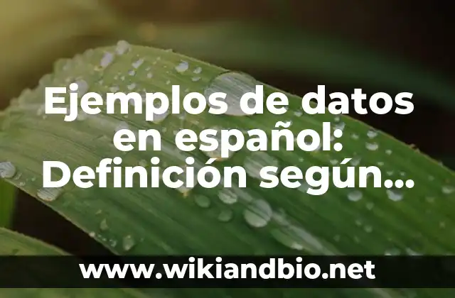 Ejemplos de datos en español: Definición según Autor, qué es, Concepto