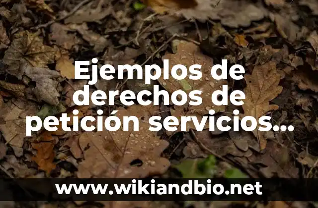 Ejemplos de derechos de petición servicios públicos: Definición según Autor, qué es, Concepto y Significado