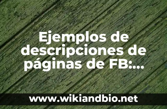 Ejemplos de descripciones de páginas de FB: Definición según Autor, ¿qué es?
